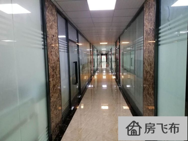 (出租) 龙华民治地铁口600米距离办公室厂房出租230平起